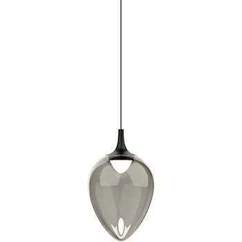 Подвесной светильник светодиодный Delight Collection MD24001012 MD24001012-1A black/smoky DeLight Collection