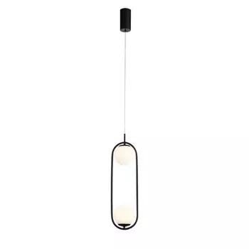 Подвесной светильник светодиодный ST Luce Donolo SL395.403.02 шарики