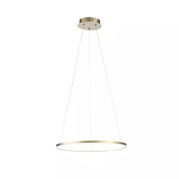 Подвесной светильник светодиодный Erto SL904.203.01 (ST Luce)