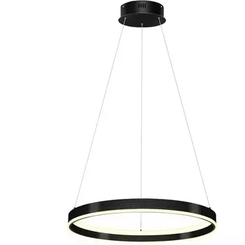 Подвесной светильник светодиодный Lightstar Rotonda 736407 кольцо