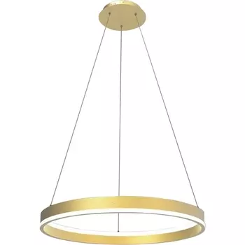 Подвесной светильник светодиодный Lightstar Rotonda 736412