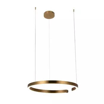 Подвесной светильник светодиодный Loft It Ring 10013L кольцо