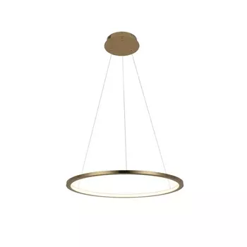 Подвесной светильник светодиодный Loft It Ring 10014M кольцо