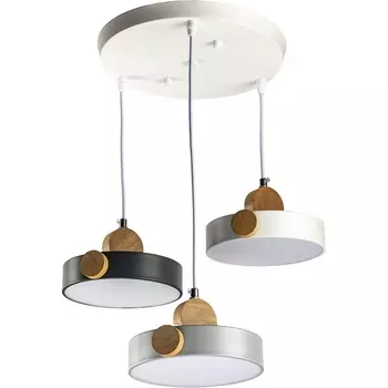 Подвесной светильник светодиодный Ritter Scandia 52078 8