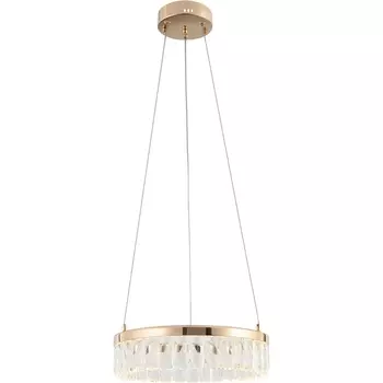 Подвесной светильник светодиодный Rivoli Erika 6131-101