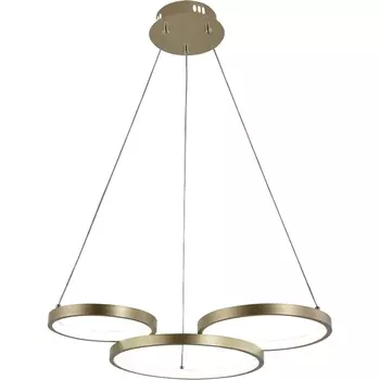 Подвесной светильник светодиодный с пультом и регулировкой цветовой температуры и яркости Rivoli Clara 6125-101