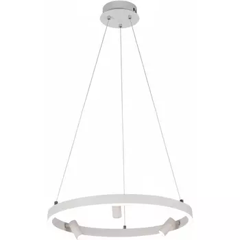 Подвесной светильник светодиодный с пультом Reluce 02476-0.4-500