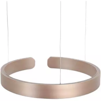 Подвесной светильник светодиодный с регулировкой цветовой температуры и яркости Mizi'en Leo MZ31371-600G