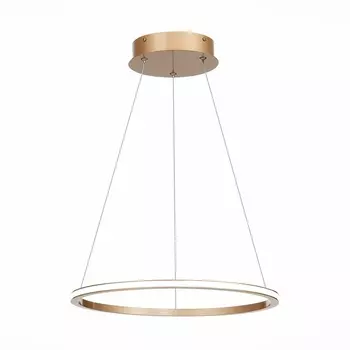 Подвесной светильник светодиодный St604 ST Luce Out ST604.243.22 кольцо