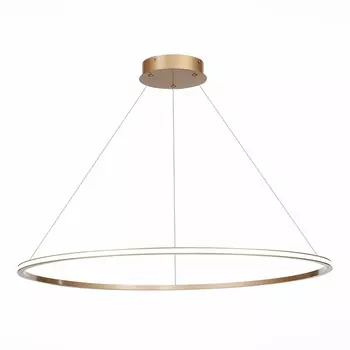 Подвесной светильник светодиодный St604 ST Luce Out ST604.243.46 кольцо