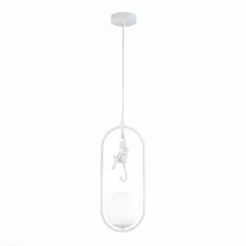 Подвесной светильник Evoluce Tenato SLE115123-01 в форме шара