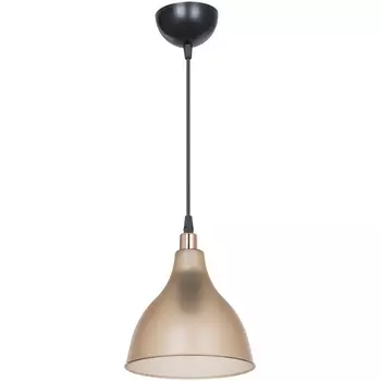 Подвесной светильник TopLight Catharine TL1658H-01AM