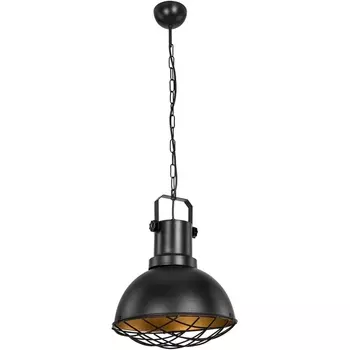 Подвесной светильник TopLight Christiana TL1637H-01BK