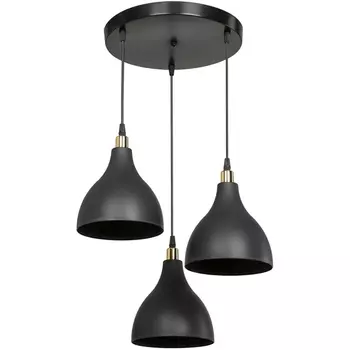 Подвесной светильник TopLight Marjory TL1615H-03BK