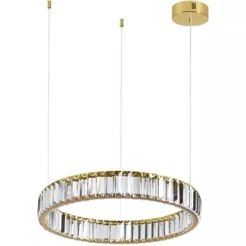 Подвесной светильник LED Odeon Light Vekia 5015/30L кольцо