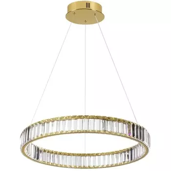 Подвесной светильник LED Odeon Light Vekia 5015/36L кольцо