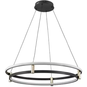 Подвесной светильник Vele Luce Libertas VL7314P24