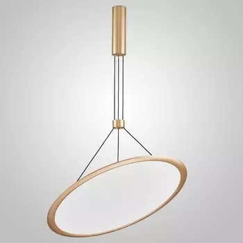 Подвесной светильник Vivert D60 Brass ImperiumLoft Vivert01