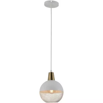 Подвесной светильник Wedo Light Gazania WD4001/1P-CO-WT