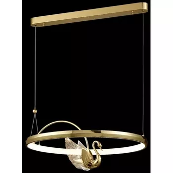 Подвесной светодиодный светильник птички с пультом Wertmark Letizia WE466.02.303