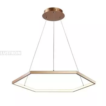 Подвесной светодиодный светильник Favourite Hexagon 2103-6P