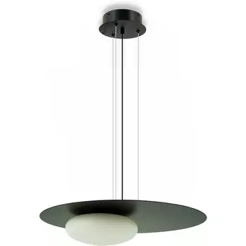 Подвесной светодиодный светильник Lightera Waddy LE140L-48B