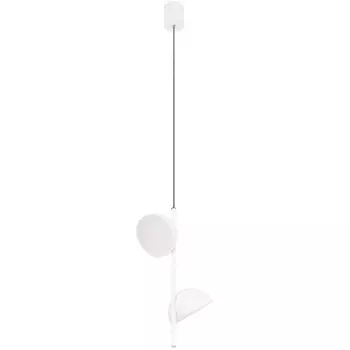 Подвесные светильник LEDи Loft It Mons 10335 White