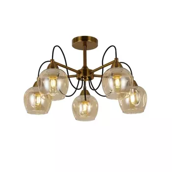 Потолочная люстра Evoluce Acro SLE110002-05