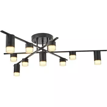 Потолочная светодиодная люстра Alfa Light F3024-14