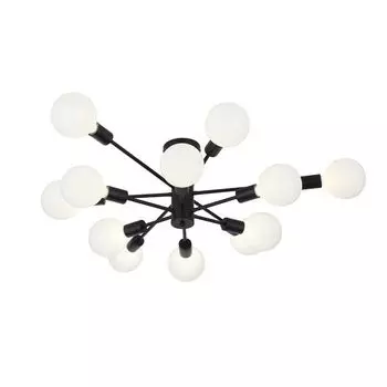 Потолочная люстра ST Luce Ano SL419.402.12