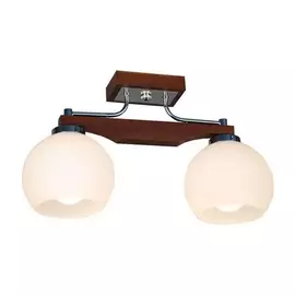 Потолочная люстра Arista CL164321 (Citilux)