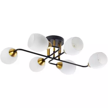 Потолочная люстра Arte Lamp Andrea A8141PL-6BK