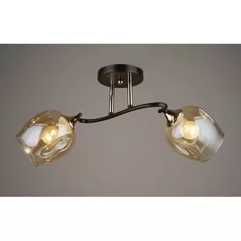 Потолочная люстра Hiper Artex H209-2