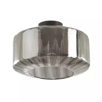 Потолочная люстра Odeon Light Binga 4746/1C