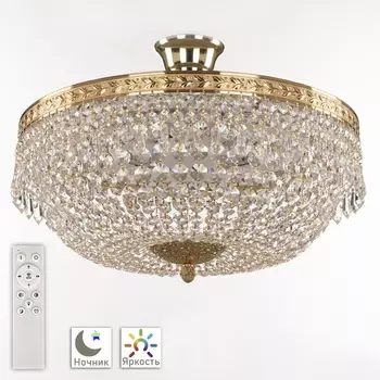 Потолочная люстра Bohemia 1901 19011/45IV/LED-DIM G