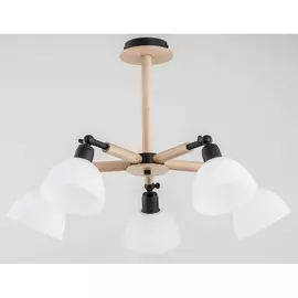 Потолочная люстра Bushwick 25185 (Alfa)