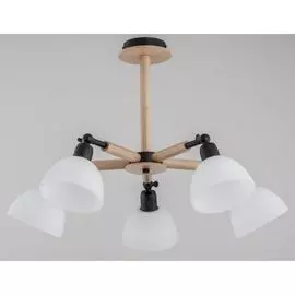 Потолочная люстра Bushwick 27005 (Alfa)