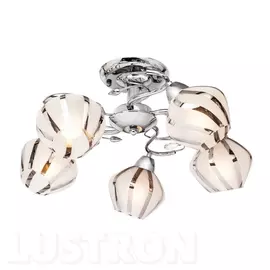 Потолочная люстра Cardmel 240.54.5 (Silver Light)