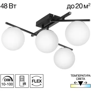 Потолочная светодиодная люстра с пультом управления Citilux Dorsy CL223142 (плафоны шарики)