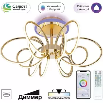 Потолочная RGB светодиодная люстра WiFi с пультом управления Citilux Salma Smart CL224A162 (Умный дом, Алиса)