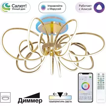 Потолочная RGB светодиодная люстра WiFi с пультом управления Citilux Salma Smart CL224A172 (Умный дом, Алиса)