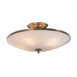 Потолочная люстра CL912100 (Citilux)