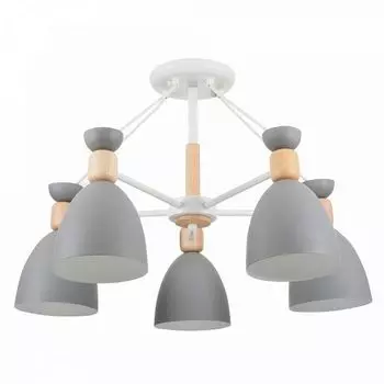 Потолочная люстра Delia FR5033CL-05W (Freya)