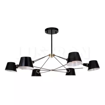 Потолочная люстра Favourite Eimer 1512-6P