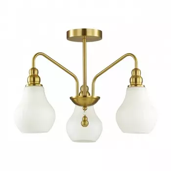 Потолочная люстра Lumion Eleonora 4562/3C