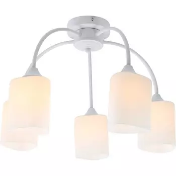 Потолочная люстра Escada Ipomea 2102/5P 5x60Вт E27, металл/стекло, белый, матовый плафон