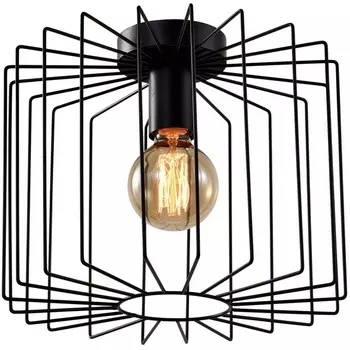 Потолочная люстра Eva 5093-201 (Rivoli)