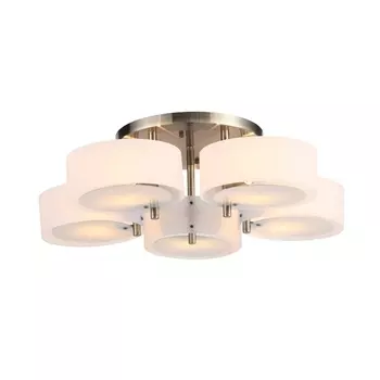 Потолочная люстра ST Luce Foresta SL483.352.05