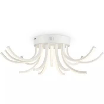 Потолочная люстра Freya Naomi FR6046CL-L50W