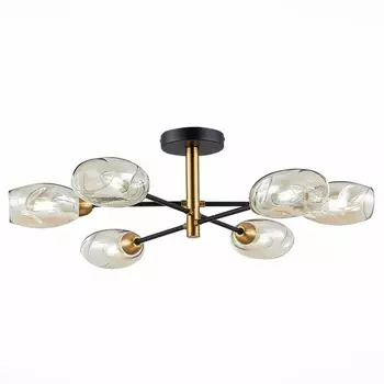 Потолочная люстра Evoluce Gloa SLE155502-06